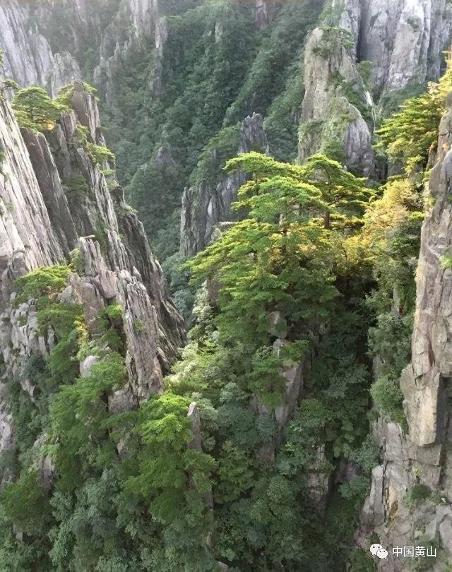 奢华豪宅找不同